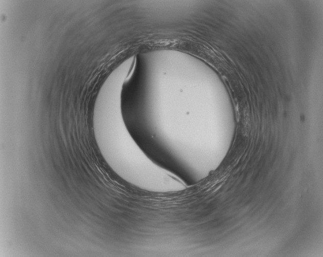 X0000059841394200511111732