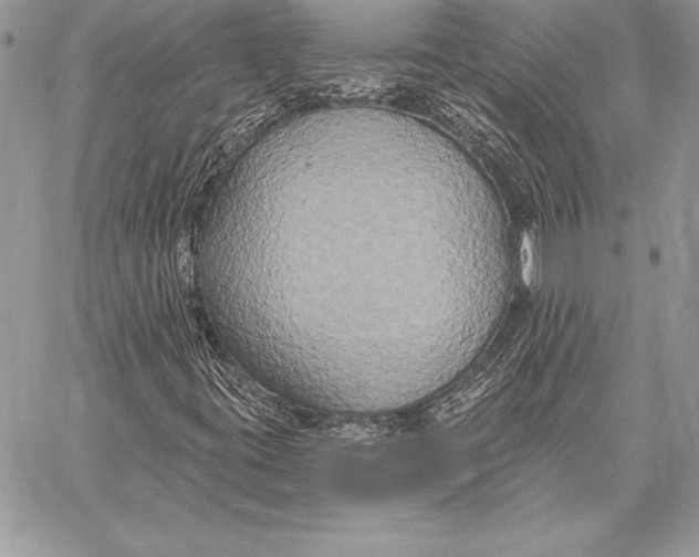 X0000059841395200511111732