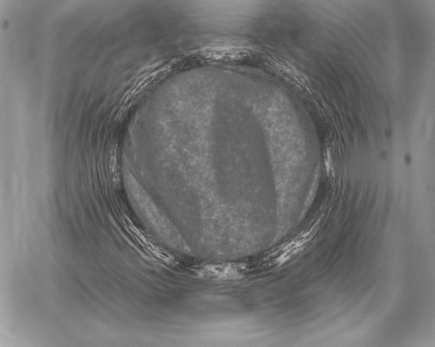 X0000059841396200511111732