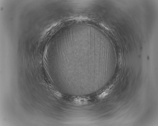 X0000059841398200511111732