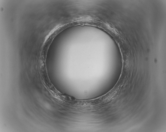 X0000059841400200511111733