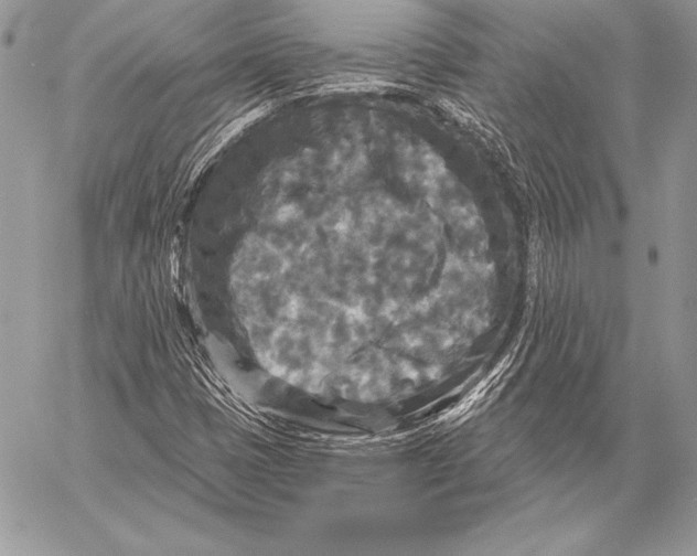 X0000059841401200511111733