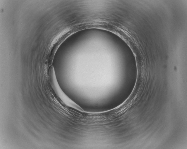 X0000059841402200511111733