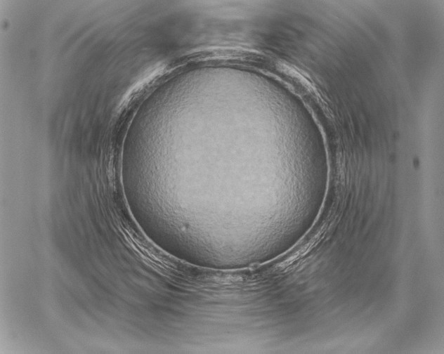 X0000059841403200511111733