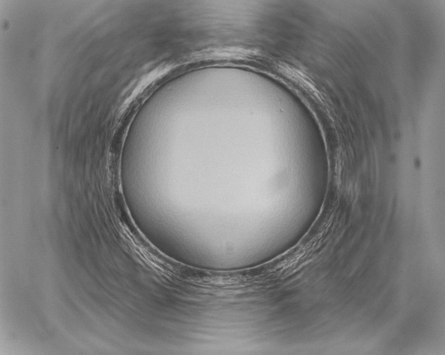 X0000059841404200511111733