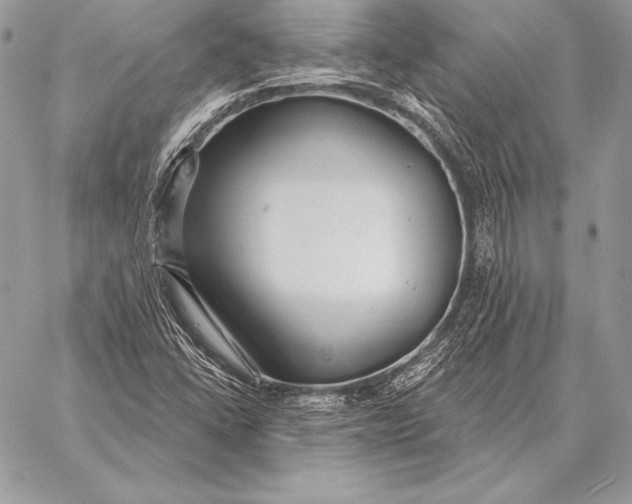 X0000059841406200511111733