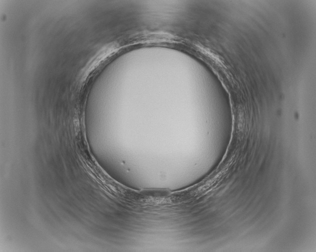 X0000059841407200511111733