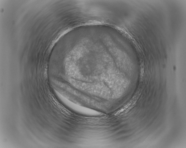 X0000059841409200511111733