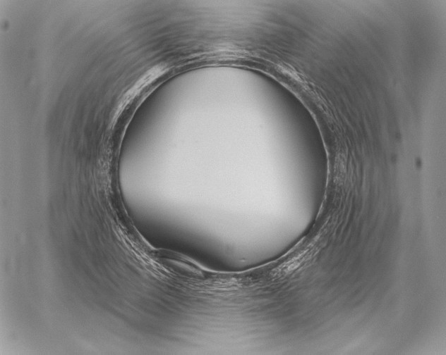 X0000059841410200511111733