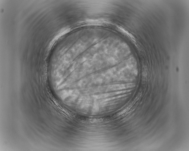 X0000059841411200511111733