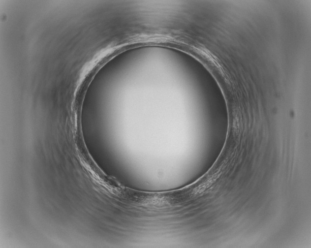 X0000059841414200511111733