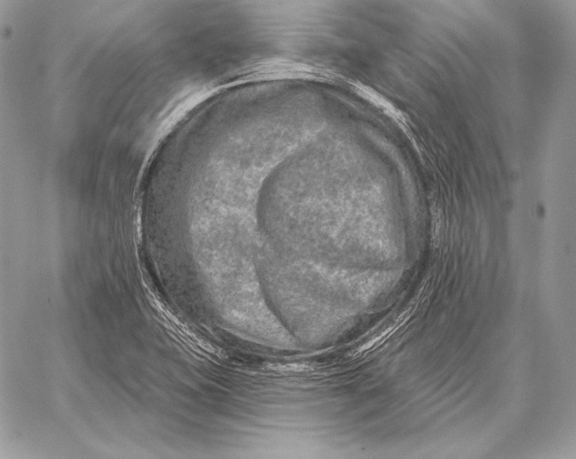 X0000059841415200511111733