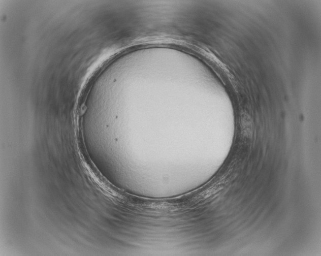 X0000059841416200511111733