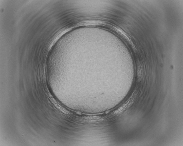 X0000059841417200511111733