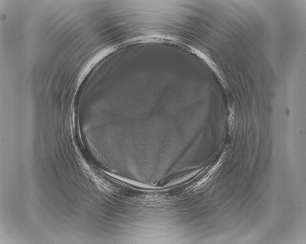 X0000059841418200511111733