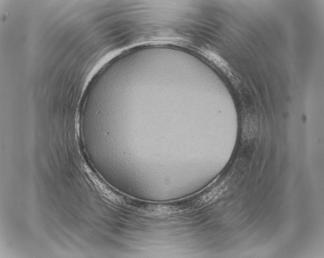 X0000059841420200511111733