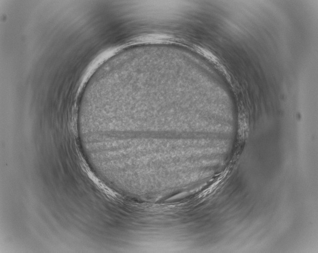 X0000059841421200511111733