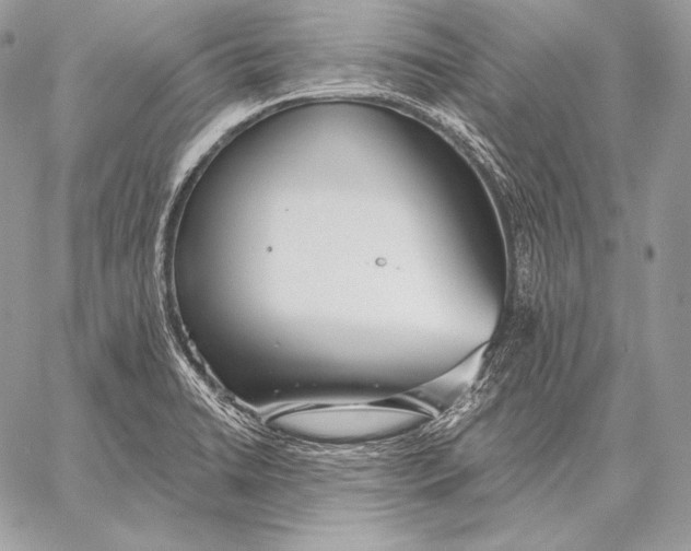 X0000059841422200511111733