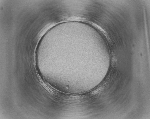 X0000059841423200511111733