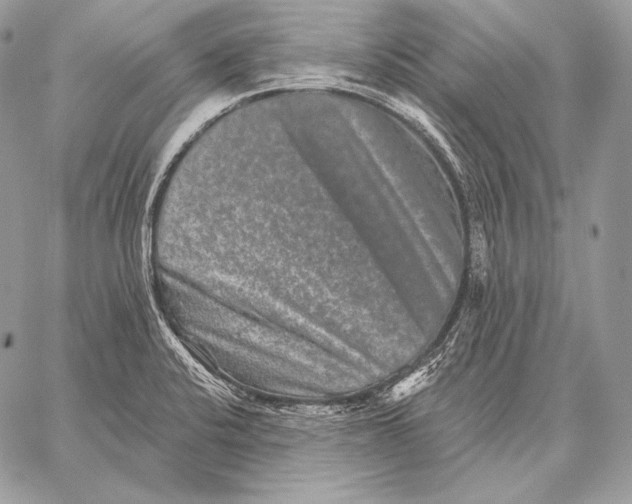 X0000059841424200511111733