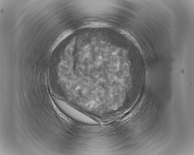 X0000059841425200511111733