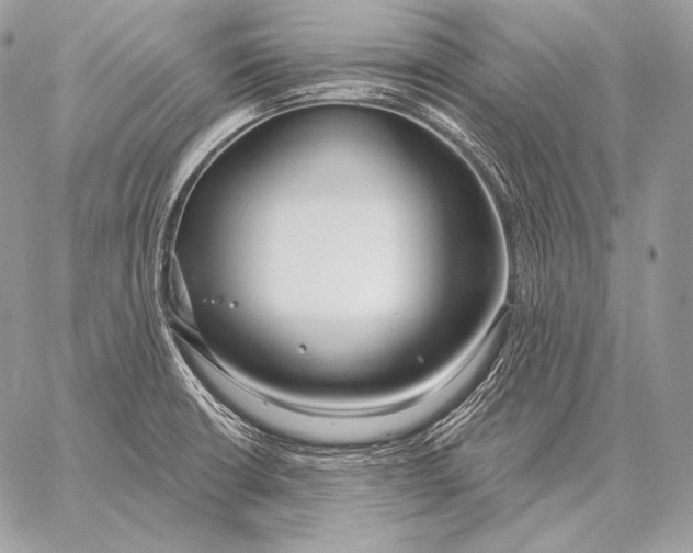 X0000059841426200511111733