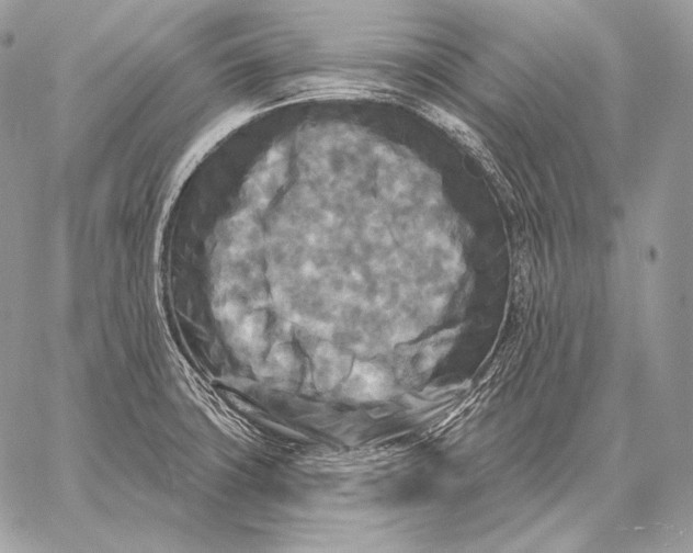 X0000059841427200511111733