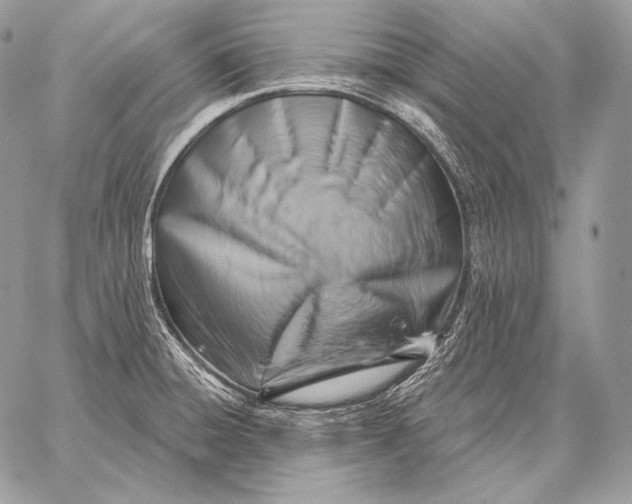 X0000059841428200511111733