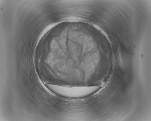 X0000059841429200511111733