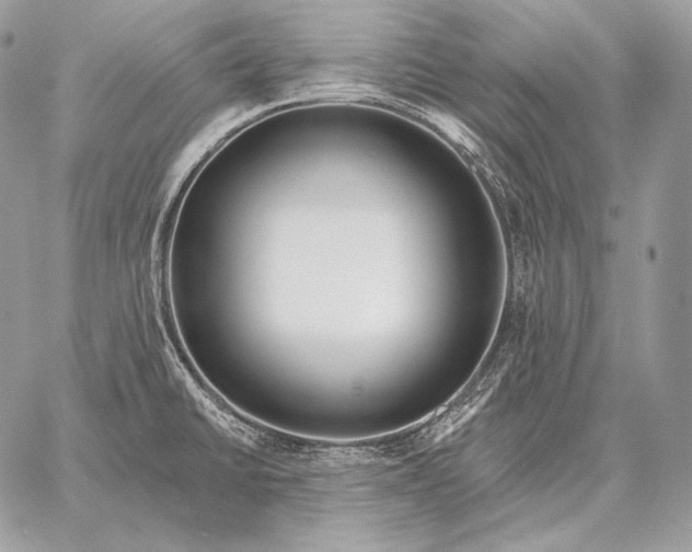 X0000059841430200511111733