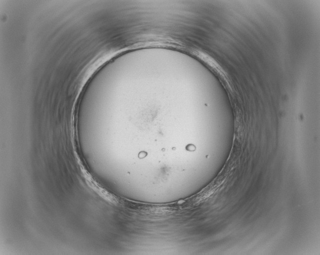 X0000059841431200511111733