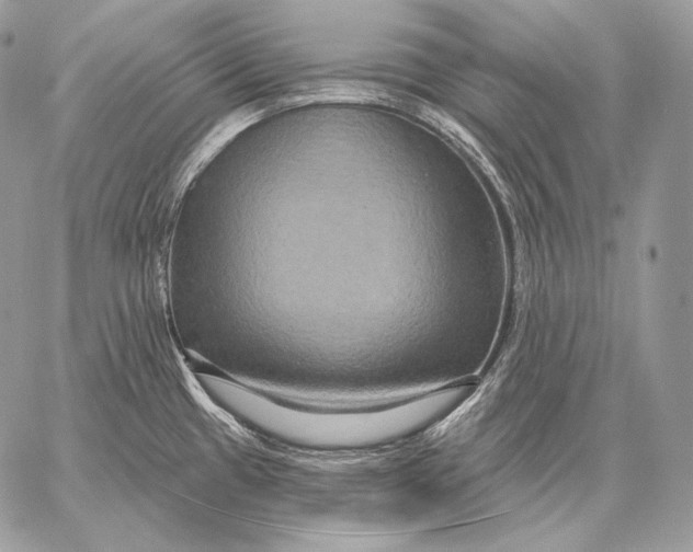 X0000059841433200511111733