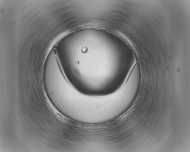 X0000059841434200511111733