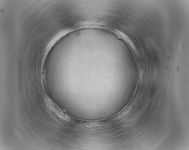 X0000059841435200511111733