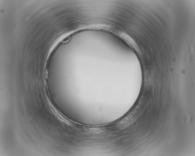 X0000059841436200511111733