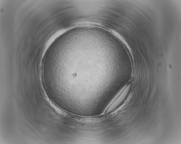 X0000059841437200511111733