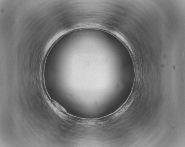 X0000059841438200511111733