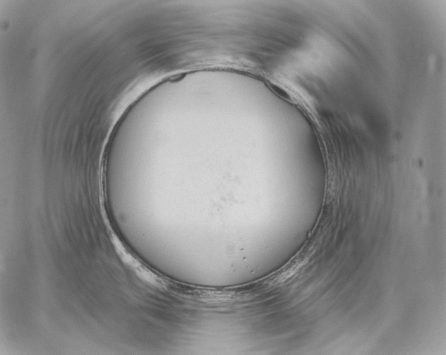 X0000059841439200511111733