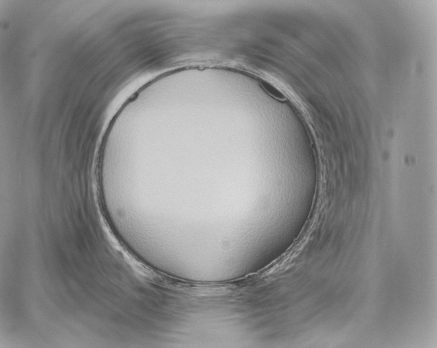 X0000059841440200511111733