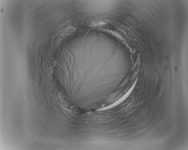 X0000059841441200511111732