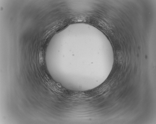 X0000059841442200511111732