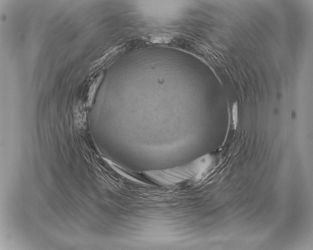 X0000059841443200511111732