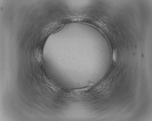 X0000059841444200511111732