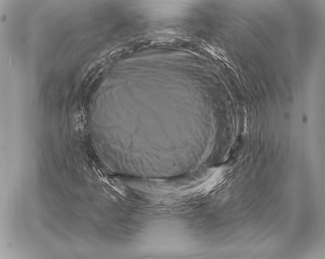 X0000059841445200511111732