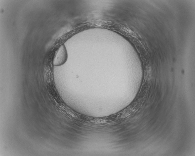 X0000059841446200511111732