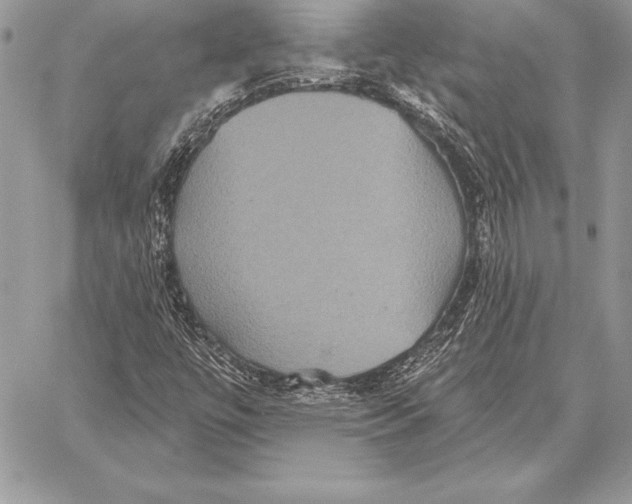 X0000059841447200511111732