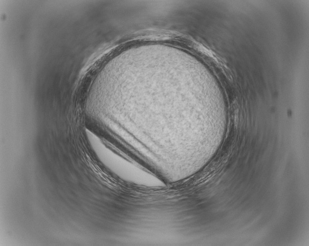 X0000059841448200511111732