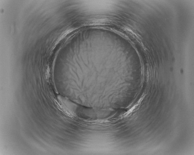 X0000059841449200511111732