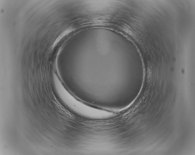 X0000059841450200511111732