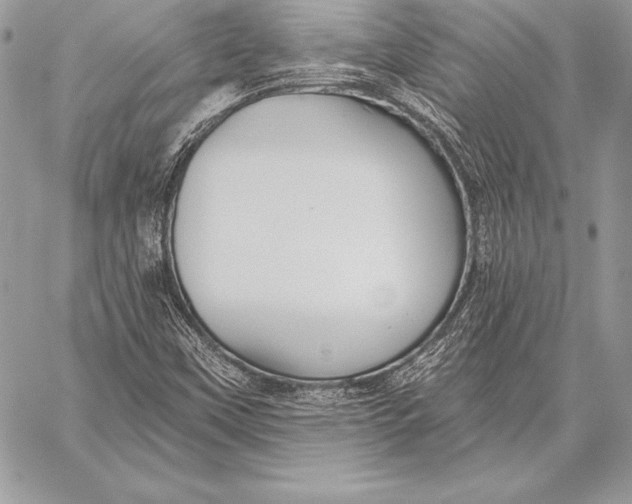 X0000059841451200511111732